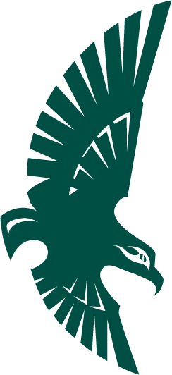 NC-Wilmington Seahawks 1992-2014 Secondary Logo iron on transfers for T-shirts